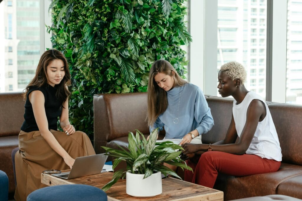 Femmes travaillant dans un bureau vert avec des documents et un ordinateur portable